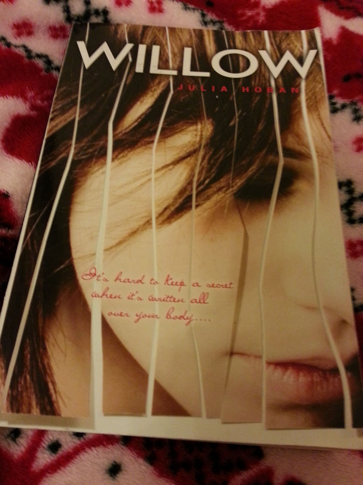 My Reading Life Book Reviews Willow by Julia Hoban